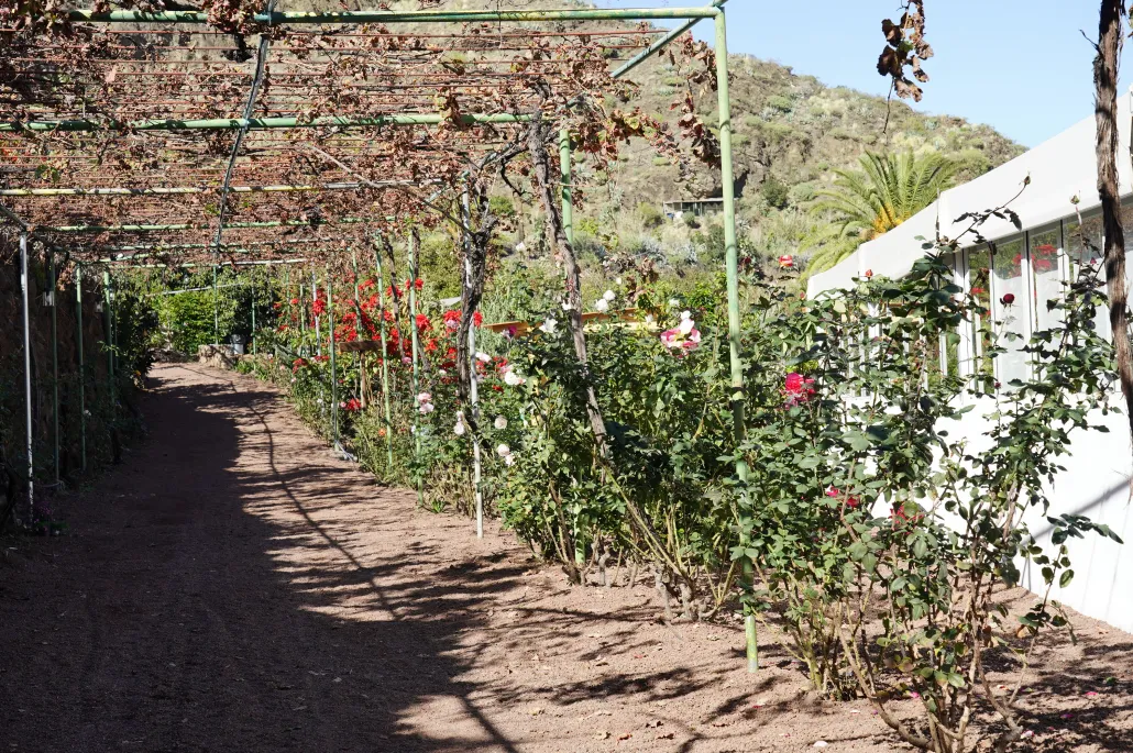 Finca Los Castaños – 21