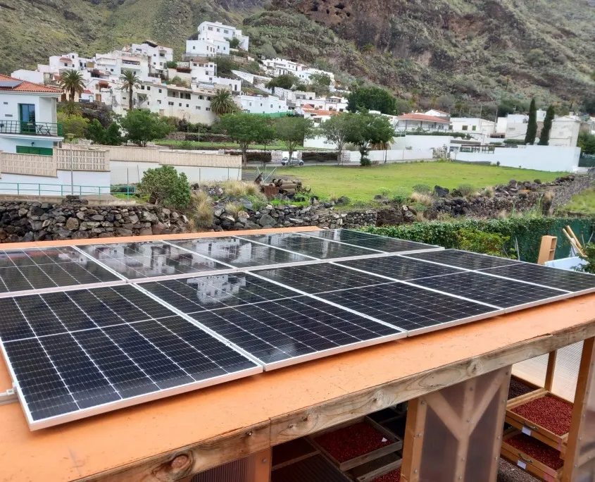 Rooted in sustainability